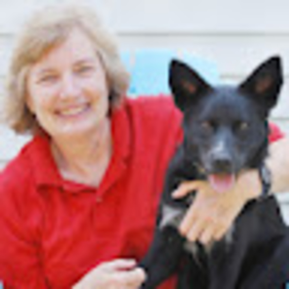 Meet your Posher, Fun